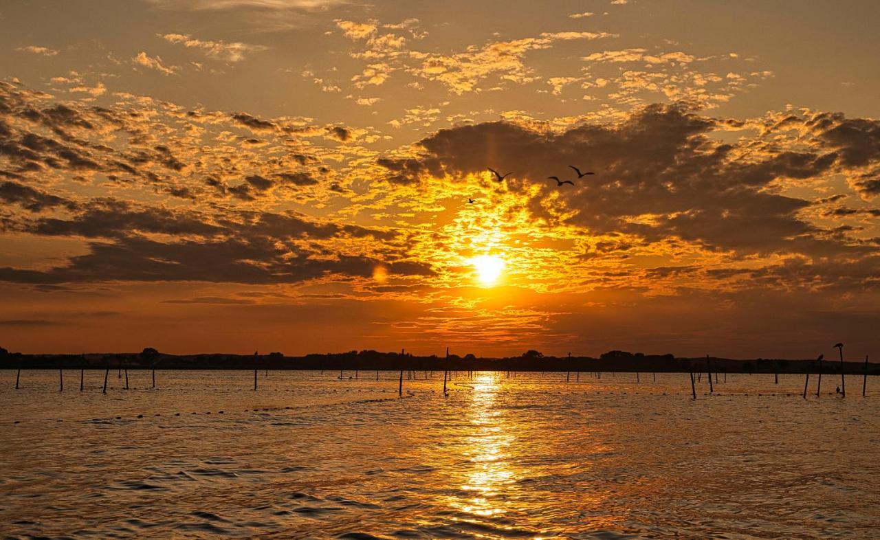 Cichata Nad Zatoka คาเมียน โปมอร์สกี ภายนอก รูปภาพ