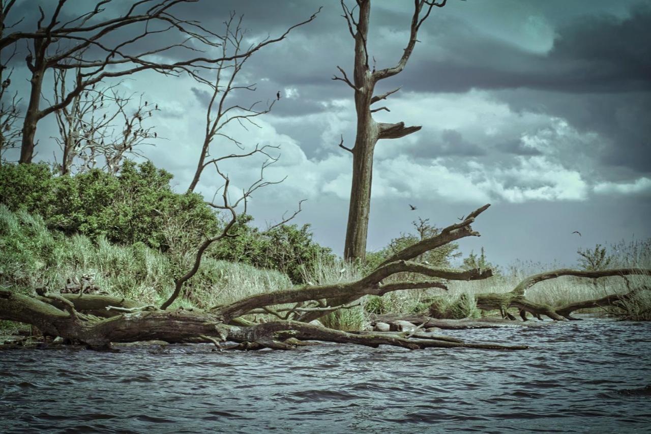Cichata Nad Zatoka คาเมียน โปมอร์สกี ภายนอก รูปภาพ