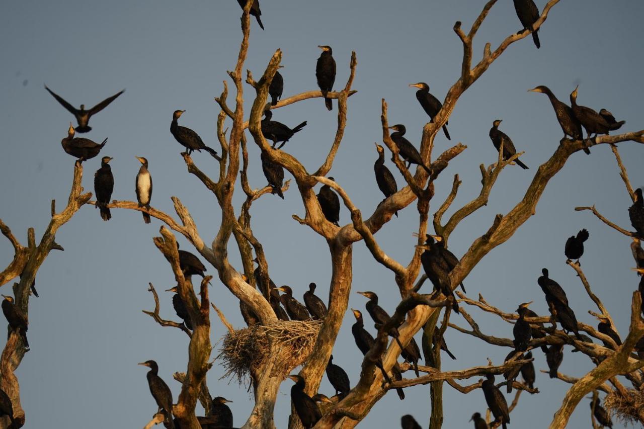 Cichata Nad Zatoka คาเมียน โปมอร์สกี ภายนอก รูปภาพ
